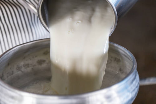 تصویر 2 از فروش دوغ جوشانده + قیمت خرید به صرفه